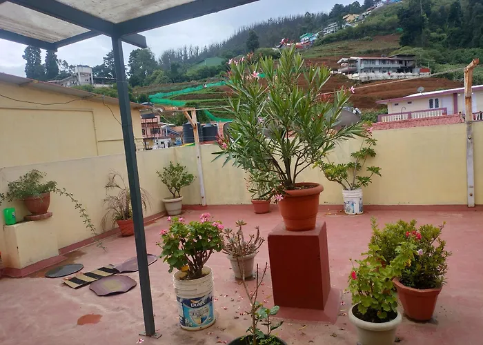 Plus Green Homestay